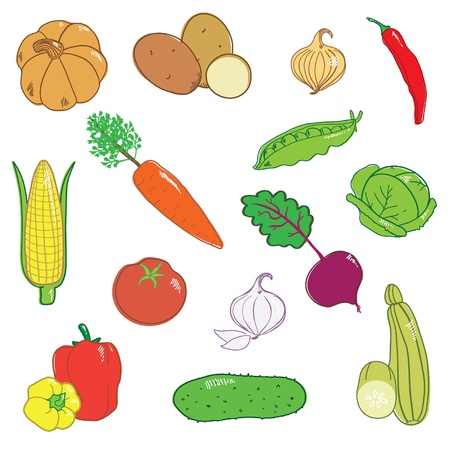 vegetableのイラスト素材