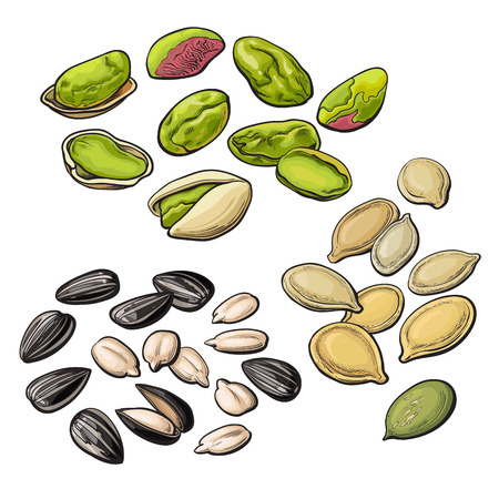 Collection of pistachio, sunflower and pumpkin seeds, vector illustration isolated on white background. Set of fresh and ripe nuts in shell and openのイラスト素材