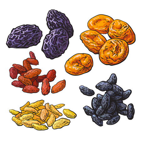Set of dried fruits - prunes, apricots and raisins, sketch style vector illustration isolated on white background. Drawing of dries plums, dries apricots and a mix of red, golden and black raisinsのイラスト素材