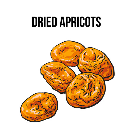 Pile of dried apricots, sketch style vector illustration isolated on white background. Drawing of orange sun dried apricots, natural sweets, vegetarian snackのイラスト素材