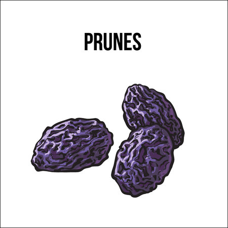 Pile of dried prunes, sketch style vector illustration isolated on white background. Drawing of sun dried prunes, dried plums, natural sweets, vegetarian snackのイラスト素材