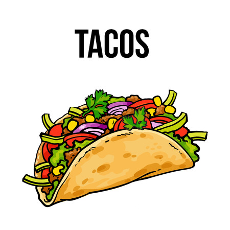 Taco, traditional Mexican food, ground meet with vegetables in folded tortilla, sketch style vector illustration on white background. Hand drawn Mexican taco - corn or wheat tortilla with meat fillingのイラスト素材