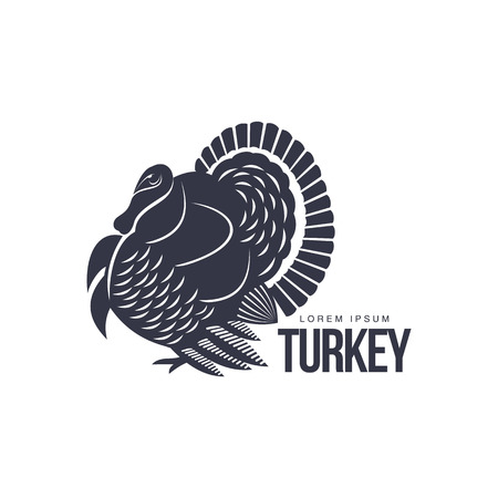 Stylized turkey silhouette graphic   template, vector illustration on white background. Black and white decorated, sophisticated turkey for business, farm, poultry   designのイラスト素材