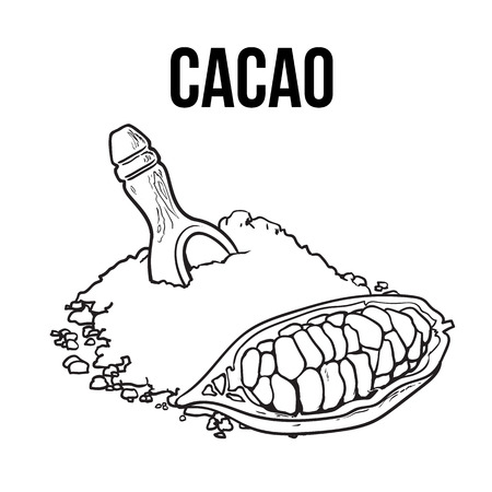 Hand drawn pile of cocoa powder with Half of ripe cacao fruit, sketch style vector illustration isolated on white background. Colorful illustration of ground cacao bean, cocoa powderのイラスト素材