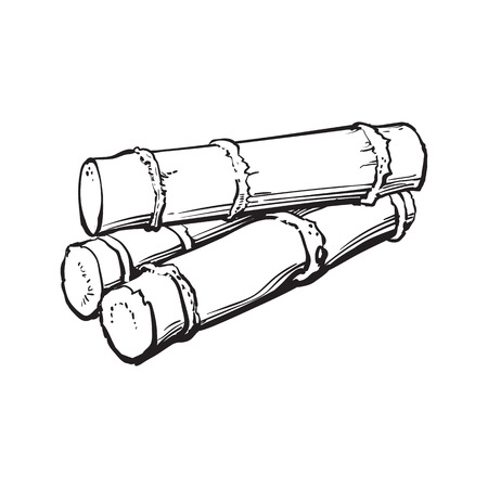 Pile of fresh raw green sugar cane, sketch style vector illustration isolated on white background. black and white hand drawing of sugarcane, Jamaican rum ingredientのイラスト素材