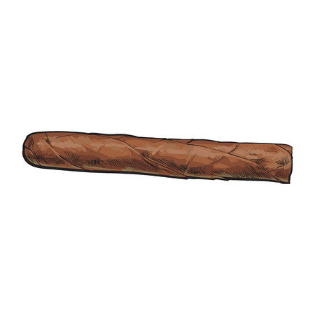 Unlabelled unlit brown Caribbean, Cuban cigar, sketch vector illustration isolated on white background. Whole, new hand drawn cigar, ready to smoke, tobacco productのイラスト素材