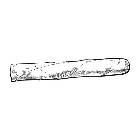 Unlabelled unlit brown Caribbean, Cuban cigar, sketch vector illustration isolated on white background. Whole, new hand drawn cigar, ready to smoke, tobacco productのイラスト素材