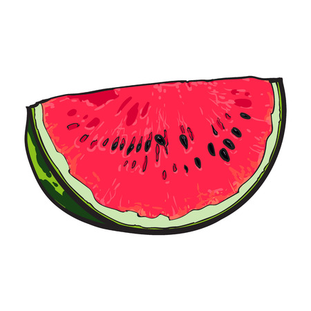 Quarter slice of ripe watermelon with black seeds, sketch style vector illustration isolated on white background. Realistic hand drawing of quarter section of red ripe watermelonのイラスト素材