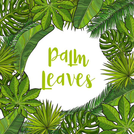 Banner frame of tropical palm leaves with round place for text, sketch vector illustration. Hand drawn realistic exotic, tropical palm leaves as round frame, banner, label designのイラスト素材