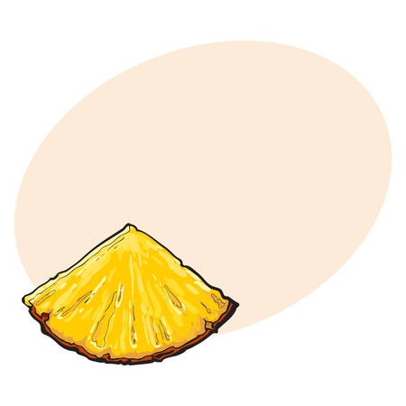 Unpeeled pineapplewedge, triangular slice, sifde view, sketch style vector illustration with place for text. Realistic hand drawing of fresh, ripe pineapple wedge or sliceのイラスト素材