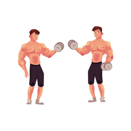 Man bodybuilder, weightlifter doing bicep workout, training arms with dumbbells in two positions, cartoon vector illustration isolated on white background. Male bodybuilder doing bicep workoutのイラスト素材
