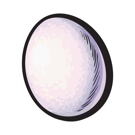 Single whole hard boiled, peeled, unshelled chicken egg, sketch style vector illustration isolated on white background. Hand drawn, sketched single peeled boiled chicken eggのイラスト素材