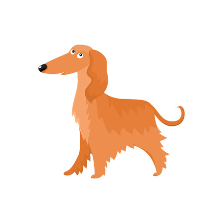 Cute long haired Afghan hound dog character, cartoon vector illustration isolated on white background. Nice and friendly dog character, Afghan hound breed, colorful cartoon illustrationのイラスト素材