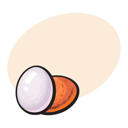 Whole hard boiled, peeled and unpeeled chicken egg, sketch style vector illustration with space for textHand drawn, sketched single peeled boiled and unpeeled raw chicken eggのイラスト素材