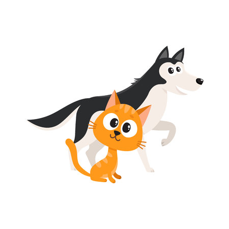 Husky dog dog and red cat, kitten characters, pets, friendship concept, cartoon vector illustration isolated on white background. Husky dog dog and red cat characters, friendsのイラスト素材