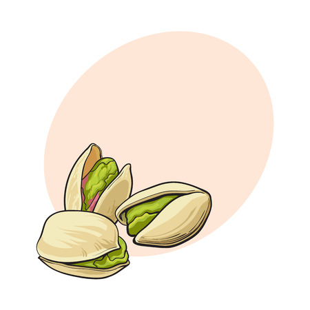 Group of pistachio nuts, shelled and unshelled, sketch style vector illustration with space for text.のイラスト素材