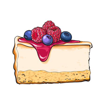 Hand drawn piece of cheesecake decorated with fresh berries, sketch style vector illustration isolated on white background. Realistic hand drawing of piece, slice of cheesecake, cheese cakeのイラスト素材
