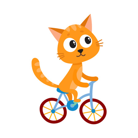 Cute little cat, kitten character riding bicycle, cycling, cartoon vector illustration isolated on white background. Little baby cat, kitten animal character riding bike, bicycle, cycling happilyのイラスト素材