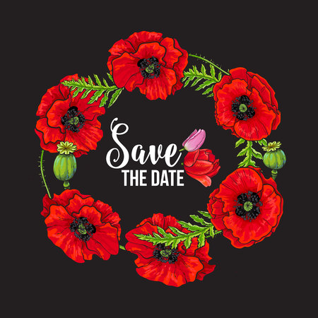 Vector red poppy flower blooming save the date template . Illustration on a black background. Realistic hand drawn blossom with stem. Floral design object. Summer, spring sign, symbol.のイラスト素材