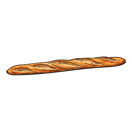 Fresh french bread baguette.のイラスト素材