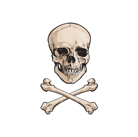 vector cartoon skull and cross bones isolated illustration on a white background. Jolly roger flag, pirates adventure , treasure risk and death symbolのイラスト素材