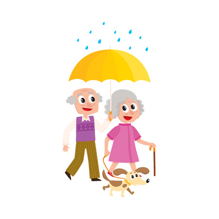 vector grey-haired man and woman walks in the rain happily keeping umbrella in hand with puppy dog pet. Flat cartoon isolated couple illustration on a white backgroundのイラスト素材