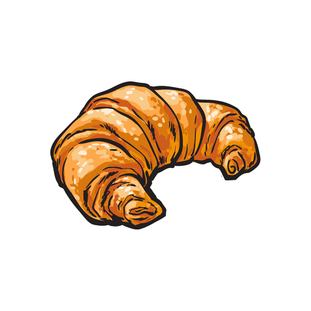 vector sketch fresh french Croissant. Detailed hand drawn isolated illustration on a white background. Flour pastry products, bakery banner, poster design objectのイラスト素材