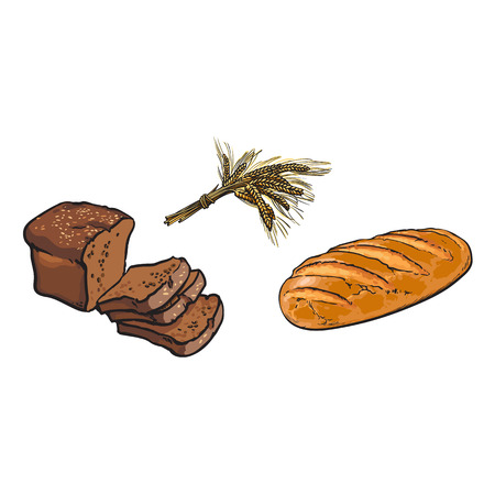vector sketch fresh white rye bread loaf, brown sliced bread wheat ears bunch set. Detailed hand drawn isolated illustration on a white background. Flour pastry products, bakery banner design objectのイラスト素材
