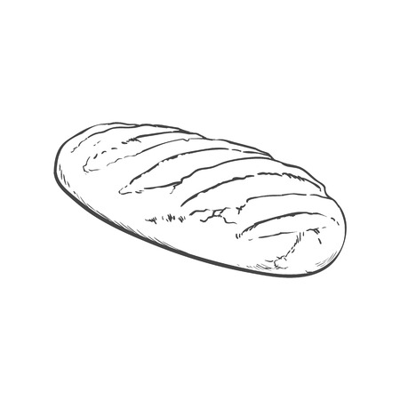 vector sketch fresh white loaf bread . Detailed hand drawn isolated illustration on a white background. Flour pastry products, bakery banner, poster design objectのイラスト素材