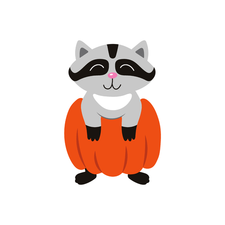 vector flat cartoon funny cute raccoon wearing big pumpkin smiling. Isolated illustration on a white background. Fancy Halloween outfit for an animal conceptのイラスト素材