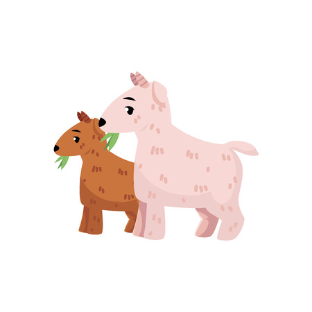 vector flat cartoon countryside farm rural animals scene. White goats with goatling grazing green grass. Isolated illustration on a white background.のイラスト素材