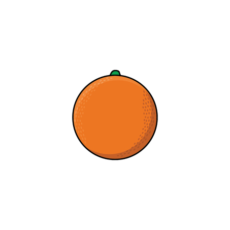 Vector flat sketch style fresh ripe orange. Isolated illustration on a white background. Healthy vegetarian eating, dieting and lifestyle design object.のイラスト素材