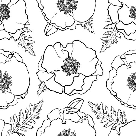 Vector hand drawn sketch monochrome illustration of red poppy flowers with opened blossoms, leaves seamless pattern. Floral natural decoration background, backdrop element for fabric, textile design.のイラスト素材
