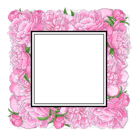 Square frame of pink peony flowers with empty, blank space for text, sketch, hand drawn vector illustration isolated on white background. Hand-drawn vector peony flowers forming square frameのイラスト素材