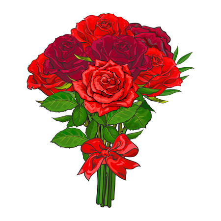 Bunch, bouquet of red rose flowers tied up with scarlet ribbon, sketch, hand drawn vector illustration isolated on white background. Hand-drawn vector bunch of red rose flowers tied up with ribbon.のイラスト素材
