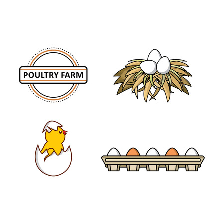 vector flat farm poultry symbols set. Chicken, small chick hatching from egg, white eggs in hay nest, eggs in cardboard box.のイラスト素材