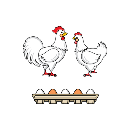 vector flat hand drawn white hen chicken, rooster, cock with red crest, eggs in cardboard box set. Isolated illustration on a white background. Farm poultry object for advertising, poster design.のイラスト素材
