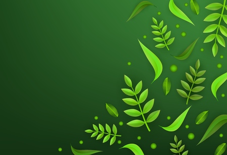 Vector green leaves frame background template. Abstract natural decoration pattern. Summer tropucal exotic jungle. Fern monstera paradise resort, holiday vacation, oraganic food poster illustrationのイラスト素材