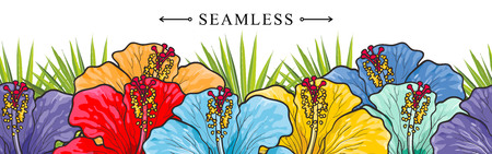 Tropical flowers hibiscuses seamless border pattern with sketch multi-color blossoms. Hand drawn vector illustration of floral tropic summertime backdrop with exotic blooms of rose mallow.のイラスト素材