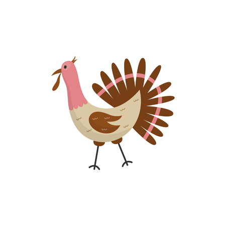 Flat funny turkey domestic bird icon. Thanksgivind day holiday symbol, poultry bird with beak, feathers. Cute rural animal used for meat. Vector hand drawn isolated illustrationのイラスト素材