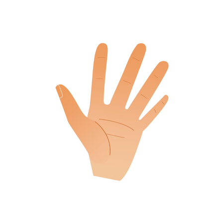 Human hand showing five fingers isolated on white background. Open palm gesture with stop or hello meaning. Cartoon vector illustration of body part - wrist with high five sign.のイラスト素材