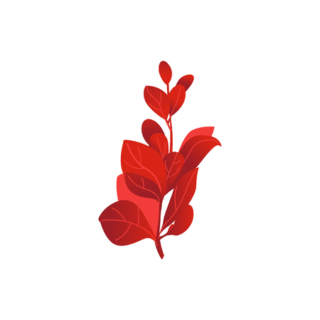 Abstract autumn red plant flower icon. Meadow, garden romantic wedding invitation card, autumnal seasonal holiday, harvest decoration element. Floral vector illustration isolatedのイラスト素材
