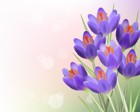 Purple tulip flowers with green leaves on blurred abstract background template. Spring summer sale template for retail poster and advertising design wtih text space. Vector illustrationのイラスト素材