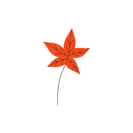 Orange autumn maple leaf isolated on white background. Seasonal floral object for natural design in flat style - decorative element of fall plant in vector illustration.のイラスト素材