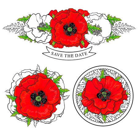 Red poppy decorative elements set with bright fresh flowers bouquets in sketch style isolated on white background - hand drawn elegant floral compositions in vector illustration.のイラスト素材