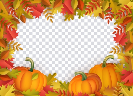 Autumn leaves and pumpkins border frame with space text on transparent background. Seasonal floral maple oak tree orange leaves with gourds for thanksgiving holiday, harvest decoration vector design.のイラスト素材