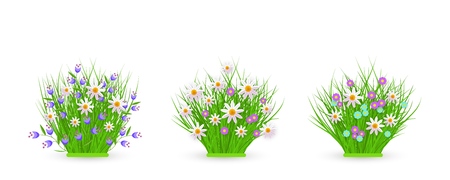 Spring and summer floral bundles of different widths set with fresh white chamomiles and wild little flowers on green grass - beautiful seasonal blooms on greenery in isolated vector illustration.のイラスト素材