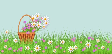 Wicker basket with diasy flowers in green meadow grass with chamomile flowers background. Spring summer sale template for poster and advertising design wtih text space. Vector illustrationのイラスト素材