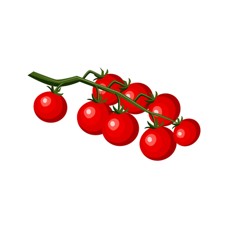 Ripe raw tomatos with leaves on branch icon. Red healthy food, vegetable full of vitamins. Fresh nutritions source, dieting and healthy life style symbol. Vector flat illustration isolatedのイラスト素材
