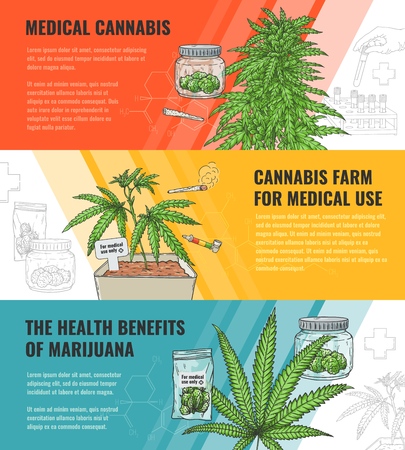 Vector illustration set of medical use and legalization of marijuana horizontal banners with hand drawn cannabis plant and leaf - concept of use in medicine and legal growth of sativa.のイラスト素材